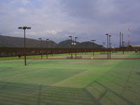 テニスコート全体の写真