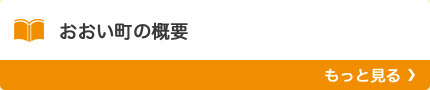 おおい町の概要